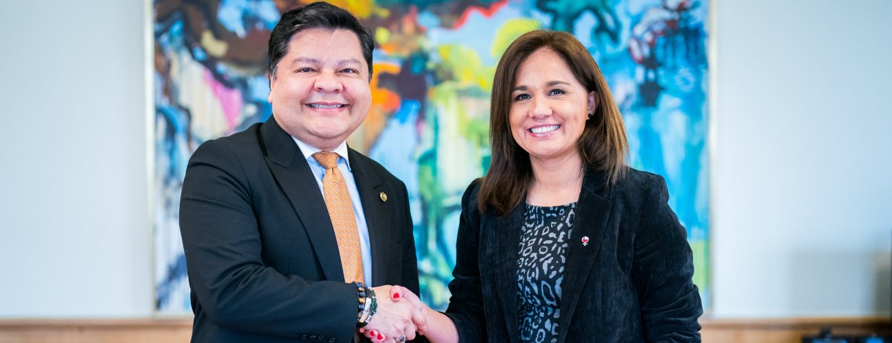 Canciller (s) Gloria de la Fuente se reúne con embajador de El Salvador en Chile