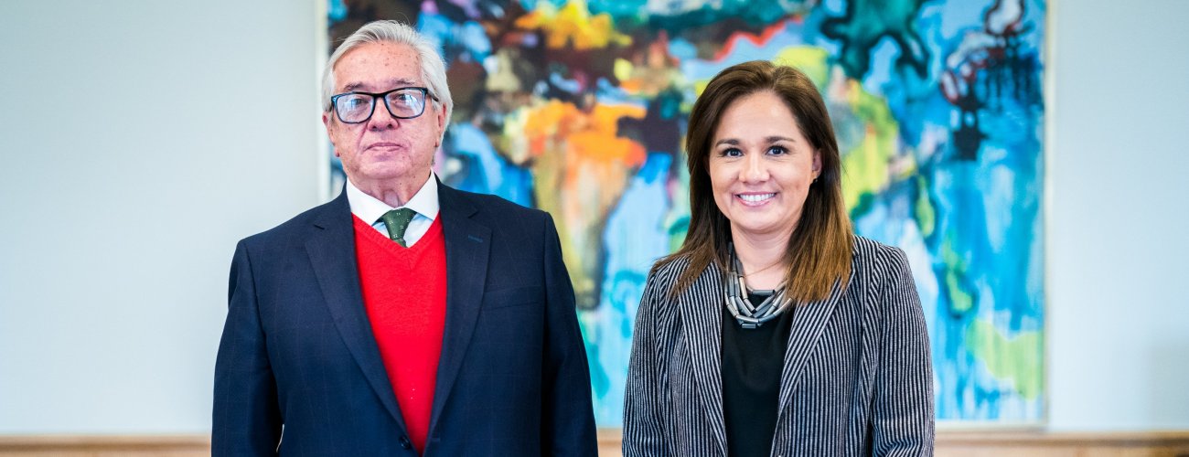 Ministra (s) recibe en audiencia a Cónsul General de Bolivia