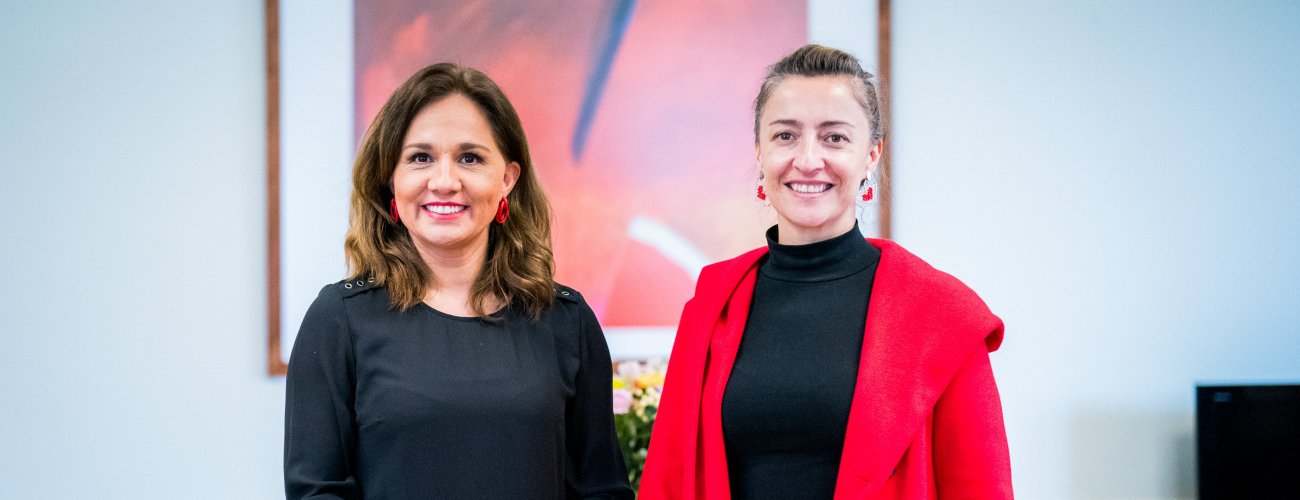 Subsecretaria Gloria de la Fuente sostiene reunión de trabajo con su par de Ciencias para proyectar el desarrollo científico de nuestro país
