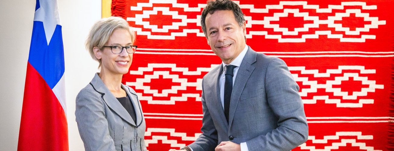 Subsecretario (s) se reúne con la relatora especial sobre la independencia de los magistrados y abogados de la ONU