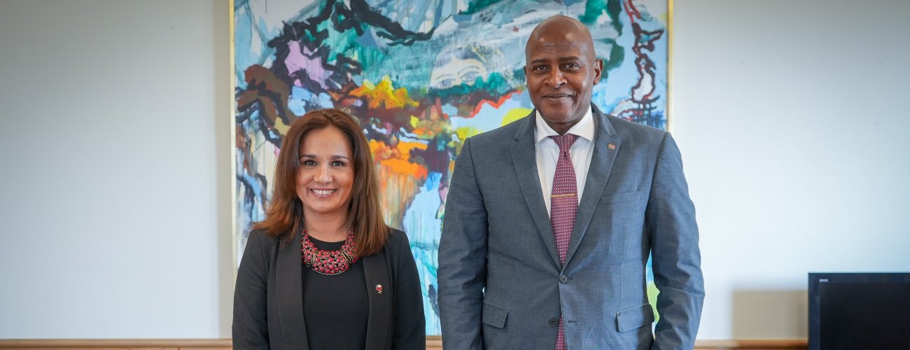 Subsecretaria se reúne con el embajador de Sudáfrica en Chile