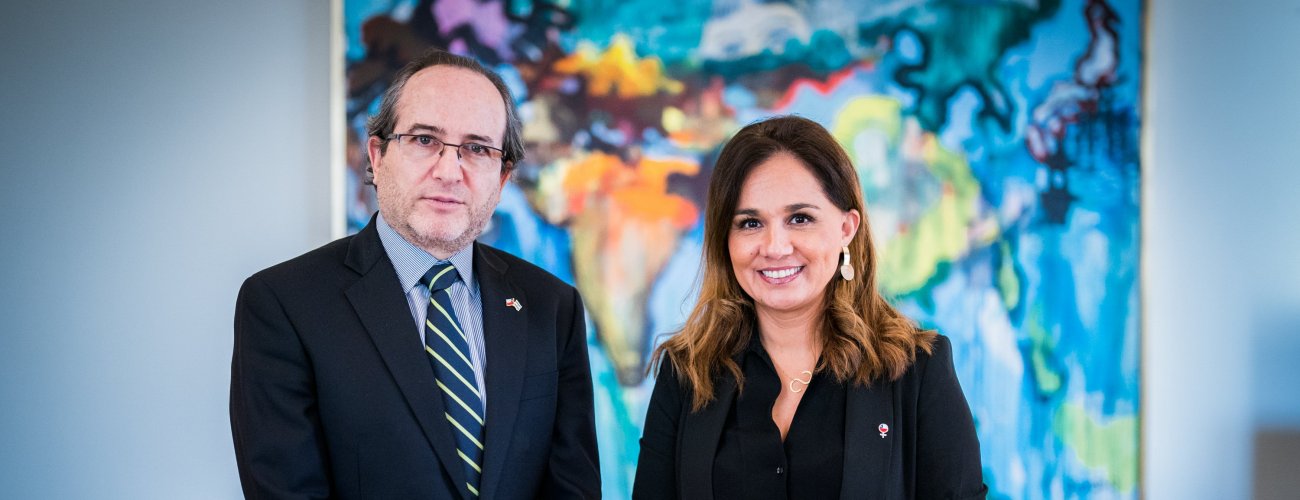 Subsecretaria Gloria de la Fuente se reúne con Embajador de Israel