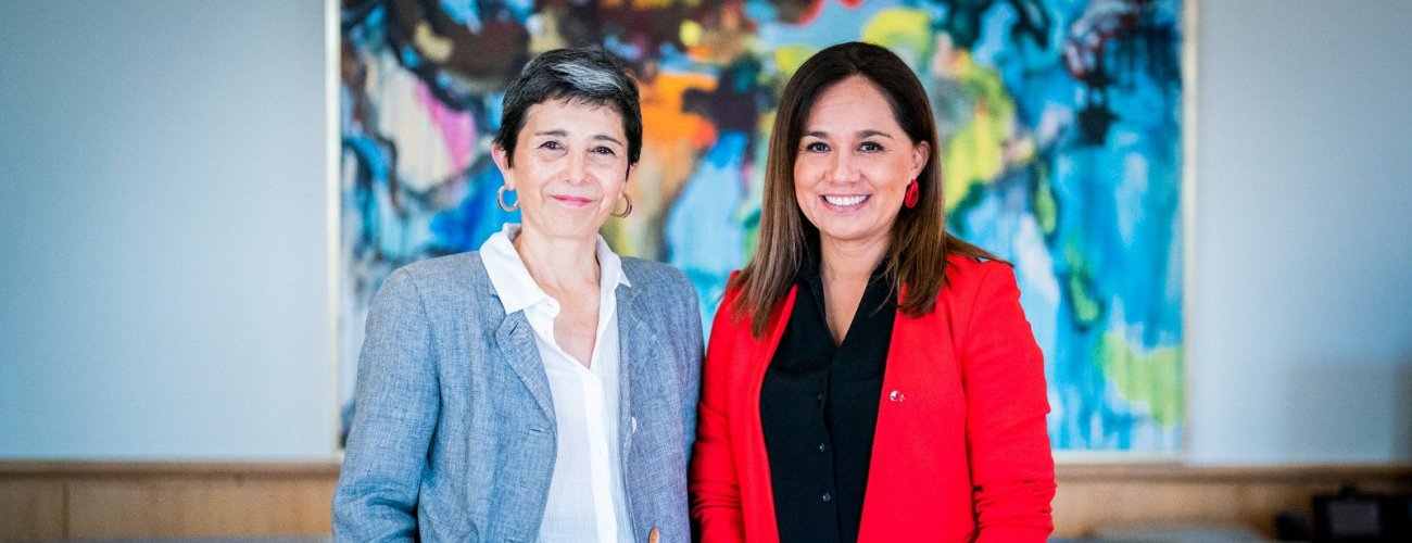 Subsecretaria Gloria de la Fuente se reúne con Directora Ejecutiva de la Fundación Imagen de Chile
