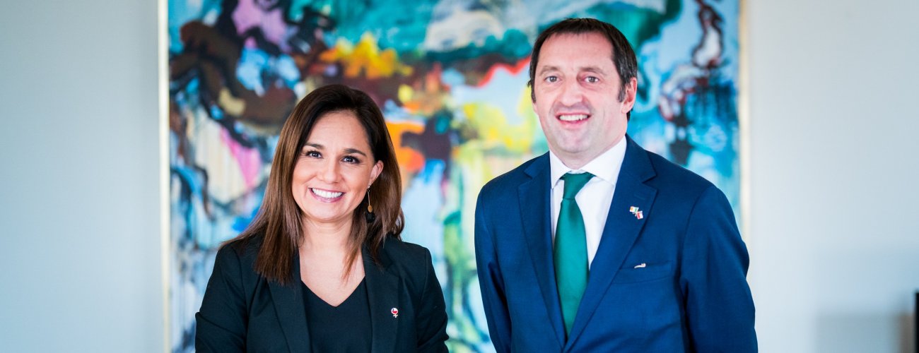 Subsecretaria Gloria de la Fuente se reúne con Embajador de Irlanda en Chile