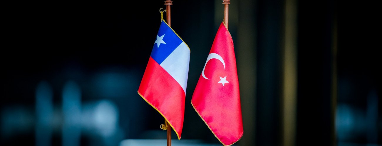 Canciller Alberto van Klaveren recibe llamada telefónica del Ministro de Relaciones Exteriores de Türkiye