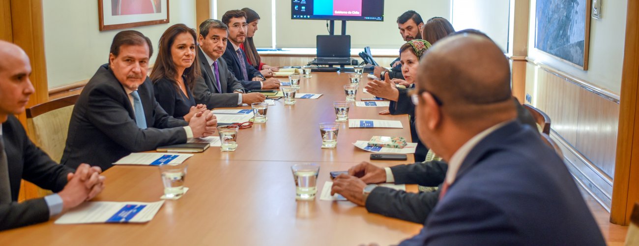 Subsecretaria de la Fuente se reúne con representantes de países árabes