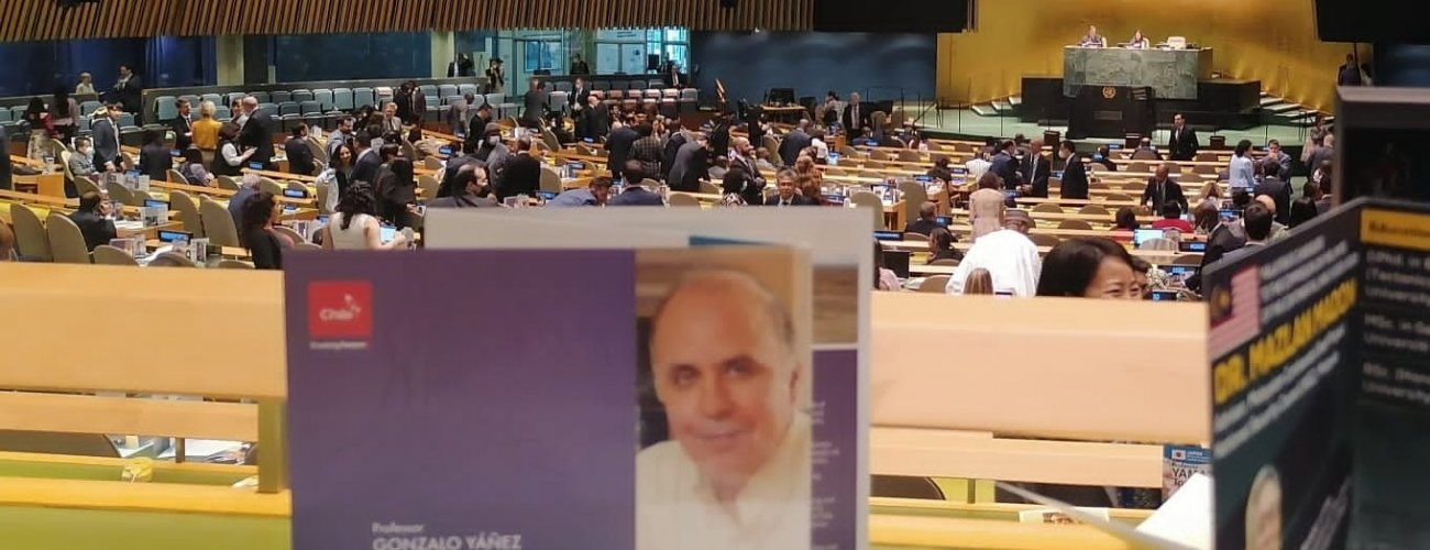 Académico chileno es reelecto como miembro de la Comisión de Límites de la Plataforma Continental de Naciones Unidas