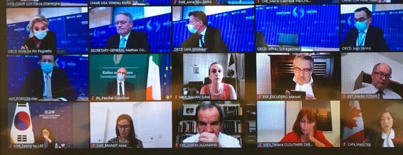 Canciller Allamand participa en Reunión Ministerial del Consejo de la OCDE