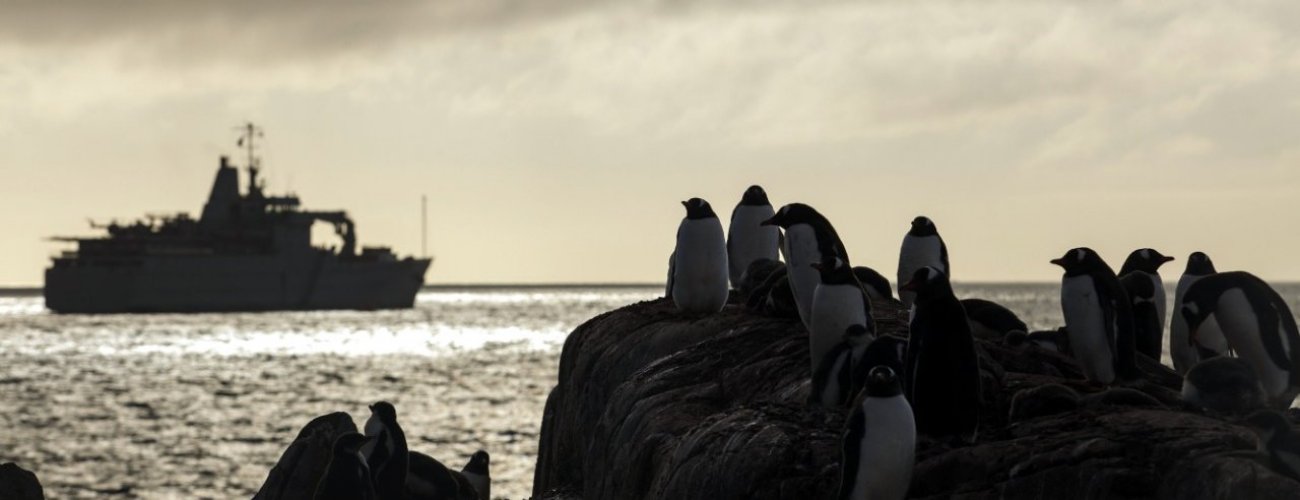 Senado aprueba protocolo de Tratado Antártico sobre protección del medio ambiente