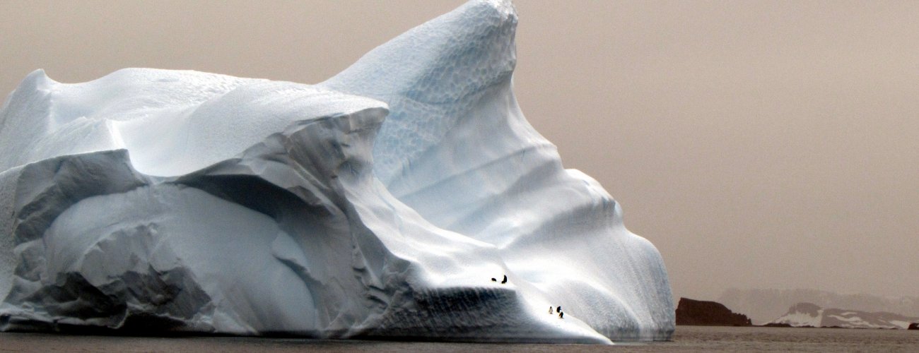 Sin título 59830233Chile será sede del encuentro más grande de ciencia antártica