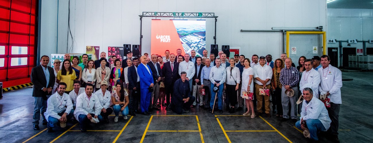 Canciller y Embajadores de todos los continentes destacan un positivo cierre de temporada de las exportaciones de fruta chilena