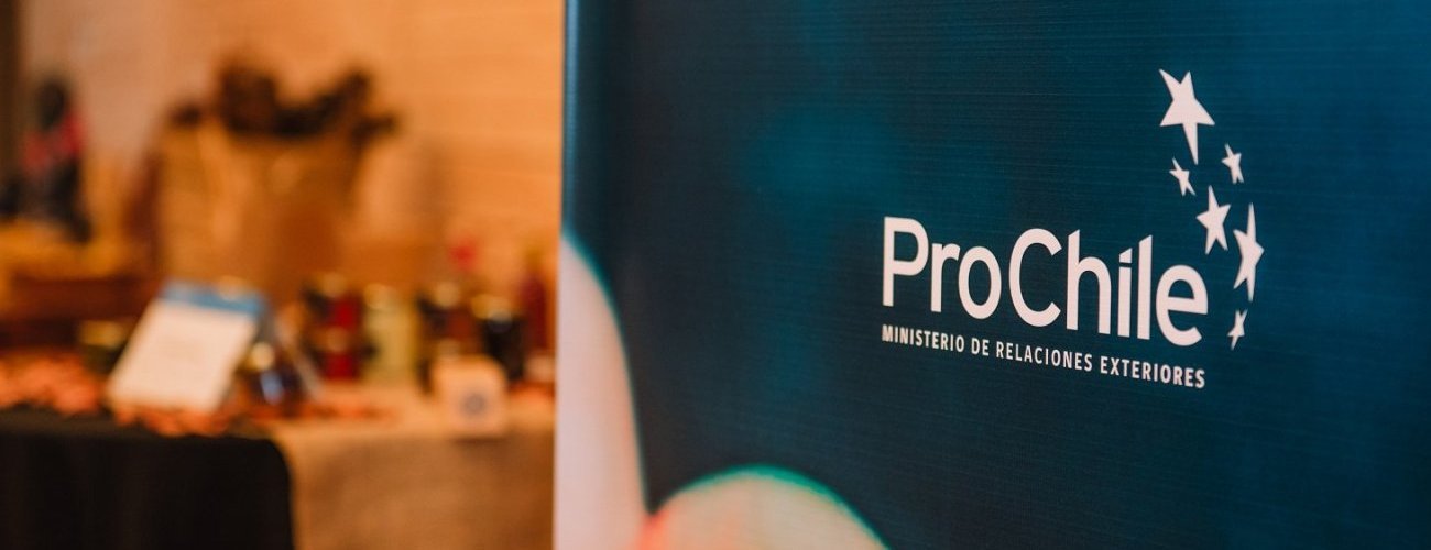 Concursos ProChile: 333 proyectos fueron seleccionados para su ejecución el año 2020