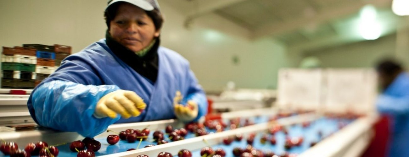 Naciones Unidas declara el año 2021 como el Año Internacional de las Frutas y Verduras