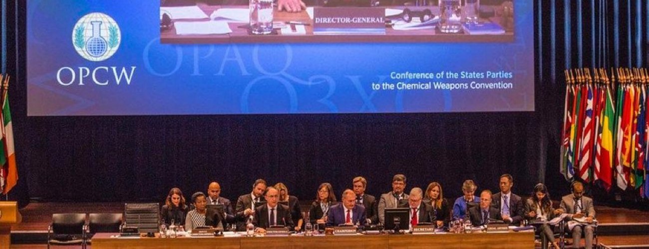Con amplia mayoría, Chile es reelecto miembro del Consejo Ejecutivo de la Organización para la Prohibición de las Armas Químicas para el período 2020-2022