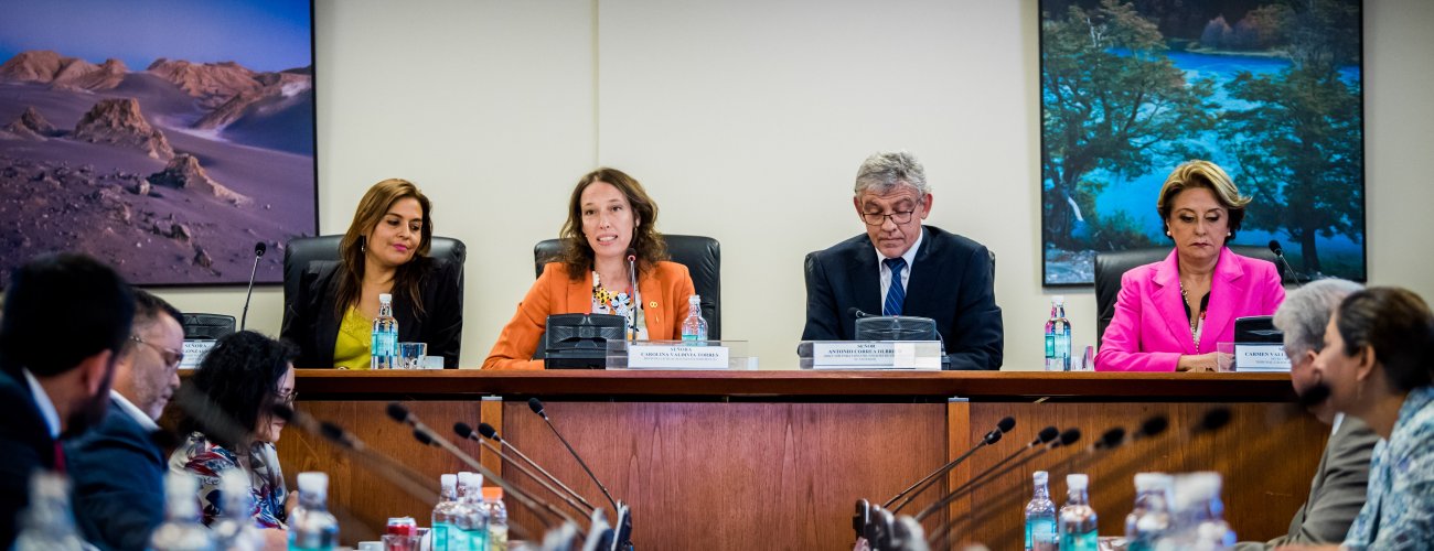 Canciller (s) Valdivia encabeza jornada de capacitación a funcionarios por Plebiscito Nacional 2020
