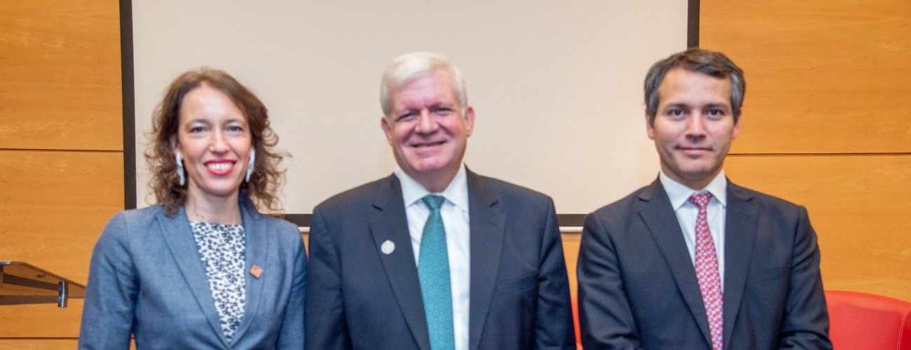 Subsecretarios Yáñez y Valdivia participan en encuentro APEC de Icare