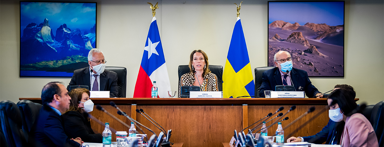 Subsecretaria Valdivia preside reunión de Consultas Políticas con el Reino de Suecia
