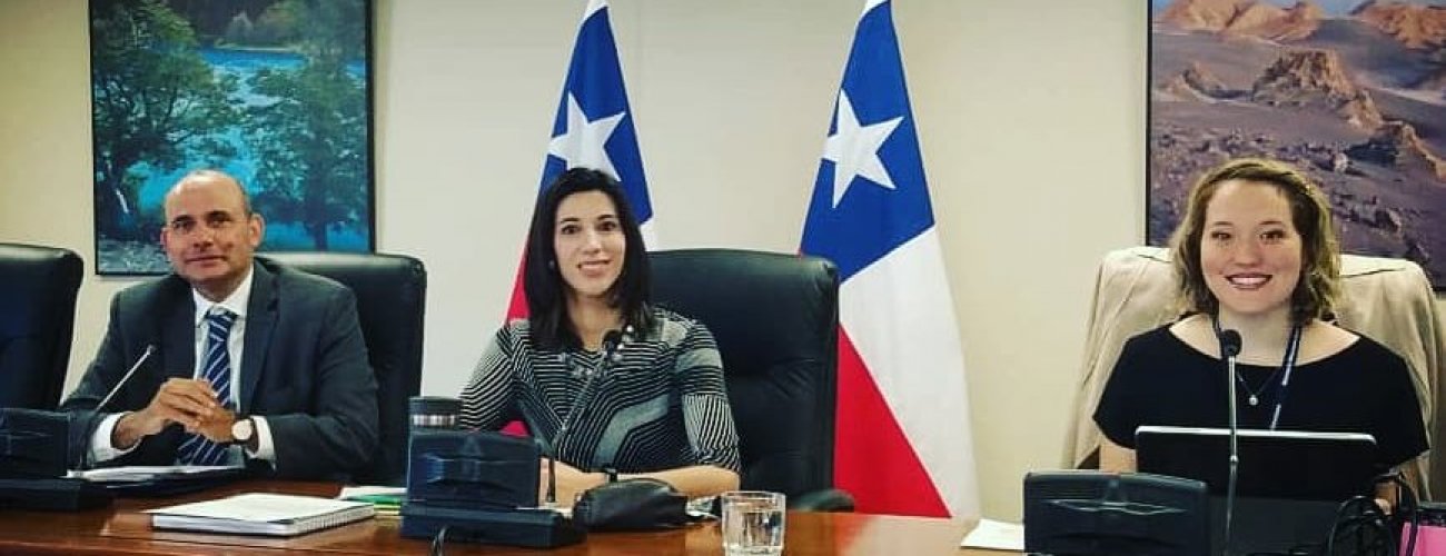 Chile y Paraguay celebran VII Reunión de la Comisión Mixta sobre prevención del uso indebido de estupefacientes y sustancias psicotrópicas