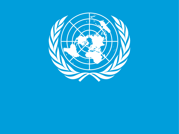 Organización de las Naciones Unidas