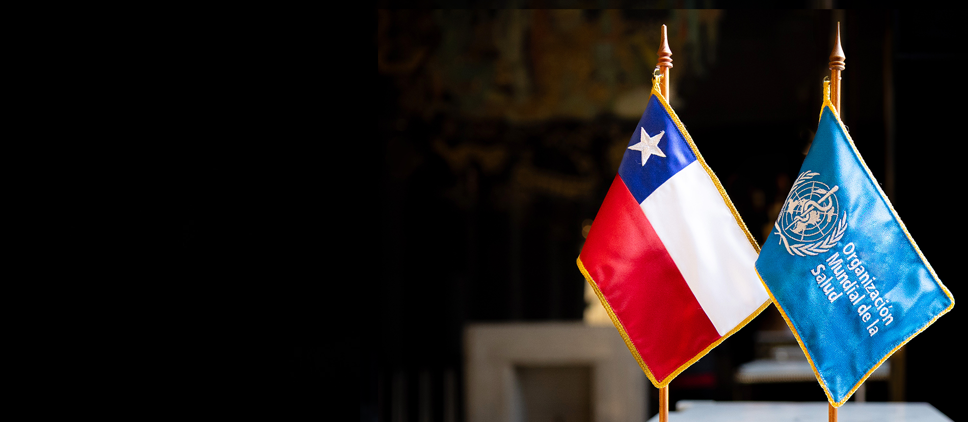 Organización Mundial de la Salud