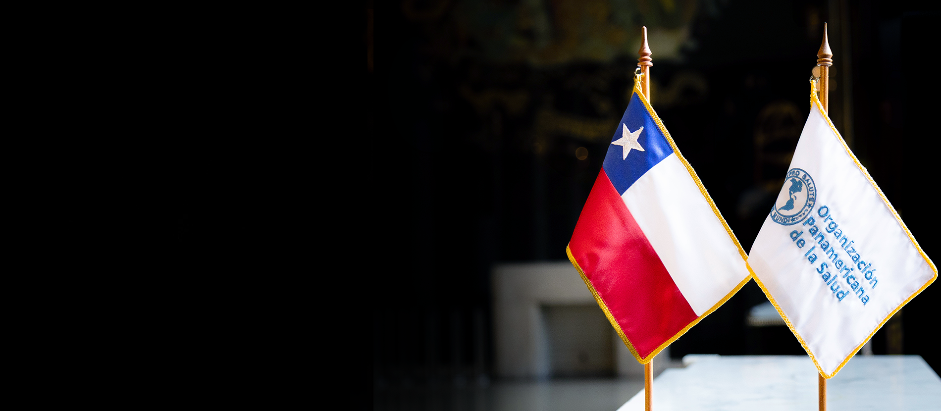 Organización Panamericana de la Salud