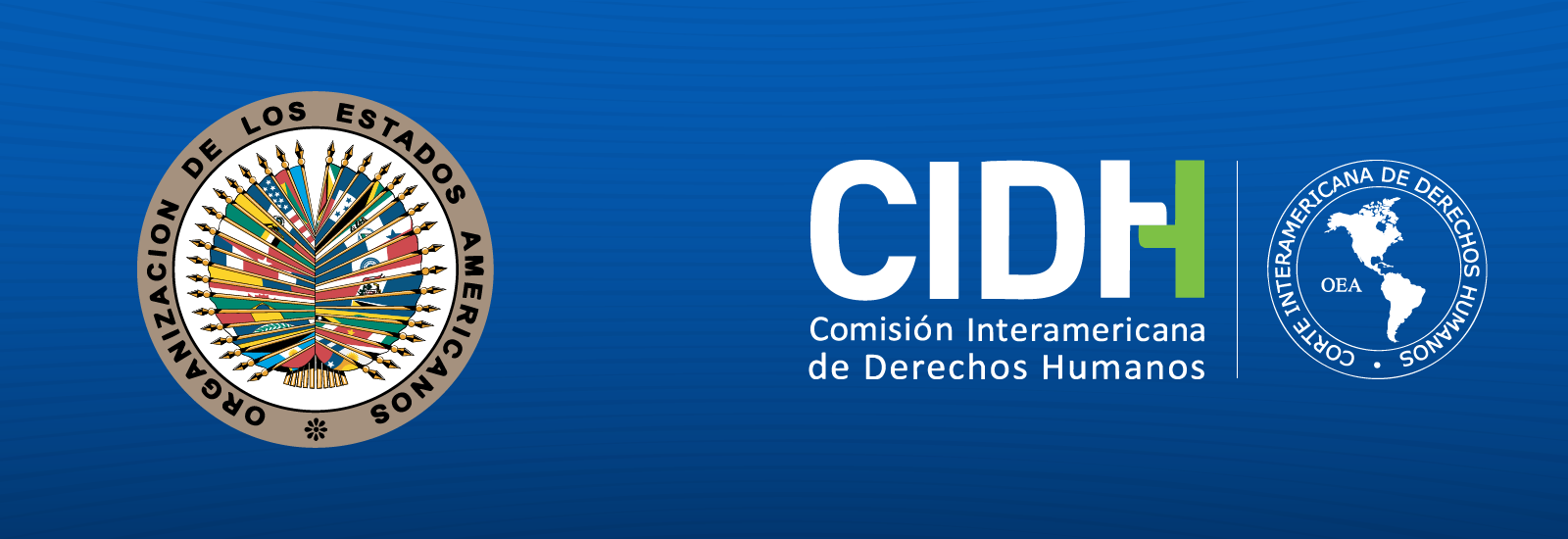 Departamento del Sistema Interamericano de Derechos Humanos