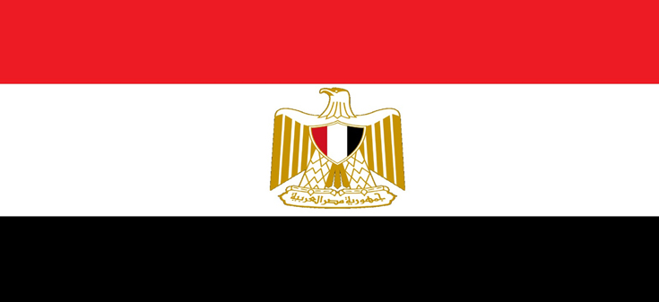 Gobierno de Chile lamenta accidente ferroviario en Egipto