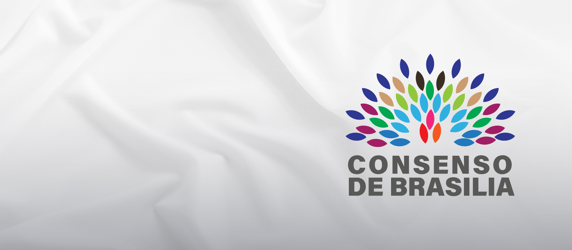 Consenso de Brasilia