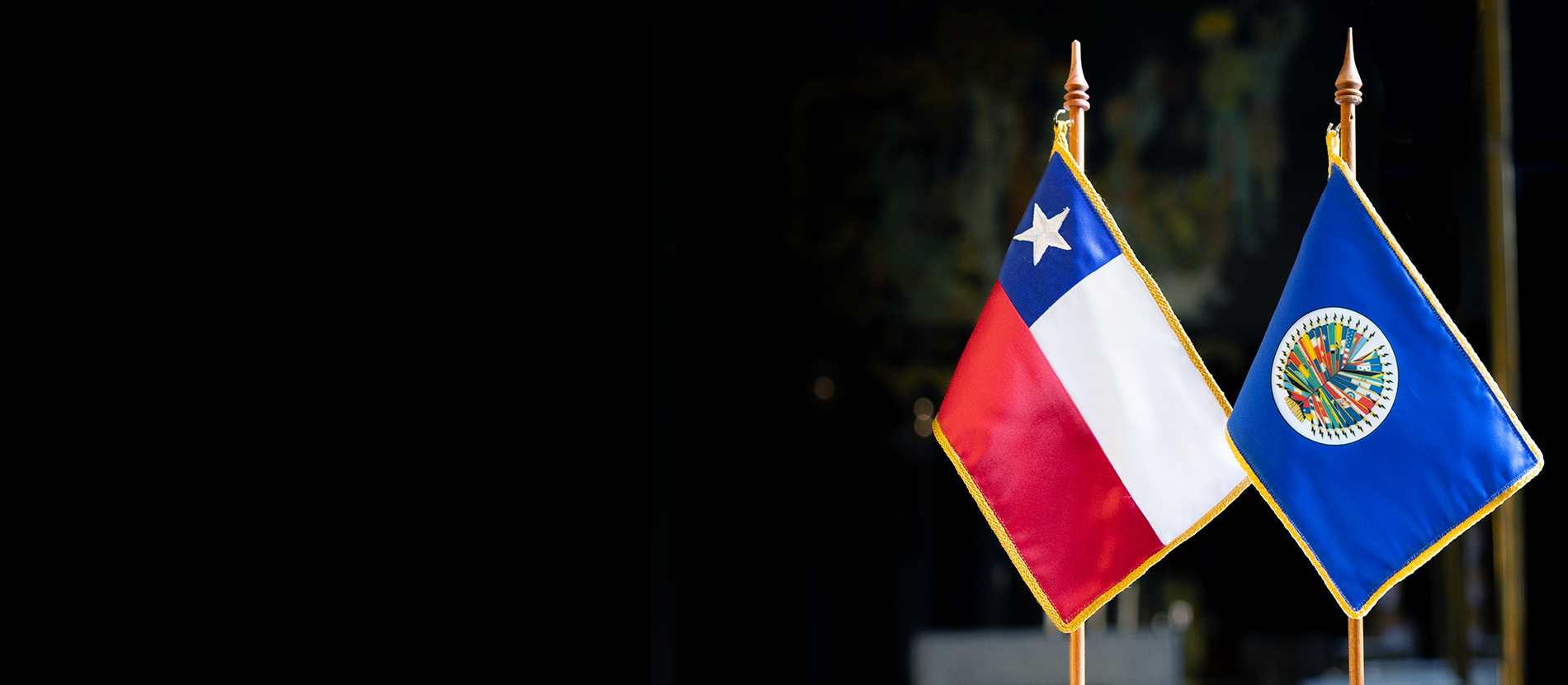 Organización de los Estados Americanos