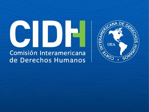 Departamento del Sistema Interamericano de Derechos Humanos