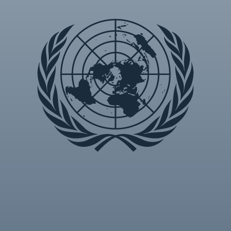 Dictámenes de Comités ONU