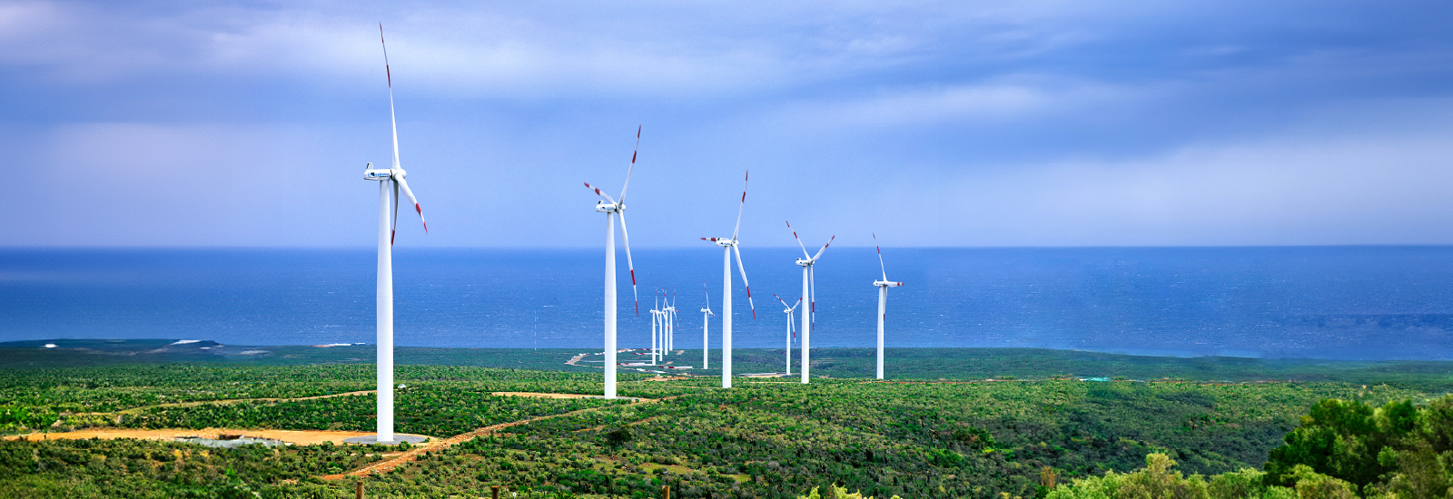 Departamento de Energía, Innovación y Planes Estratégicos