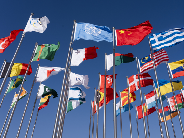 Convención de Viena sobre Relaciones Diplomáticas