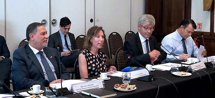 Subsecretaria Valdivia encabeza Comité por chilenos que regresaron desde Venezuela