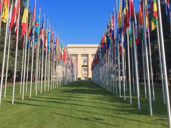 División de Asuntos Multilaterales