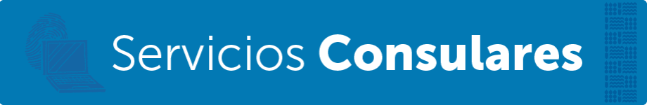 Consulado.gob.cl Desktop