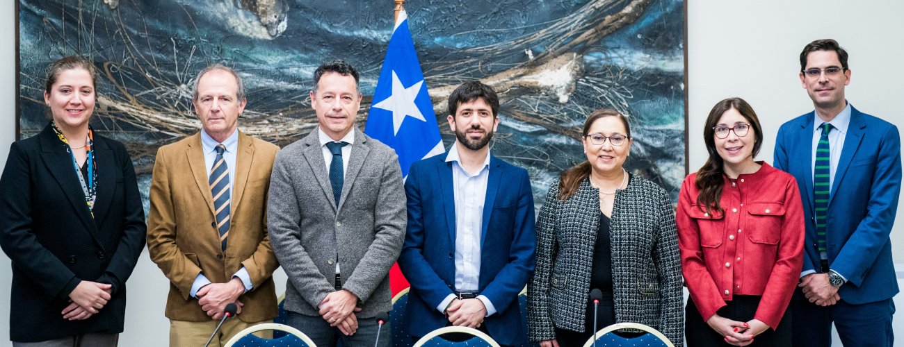 Subsecretario (s) Rodrigo Olsen lidera IV Reunión de la Sección Nacional del Sistema del Tratado Antártico