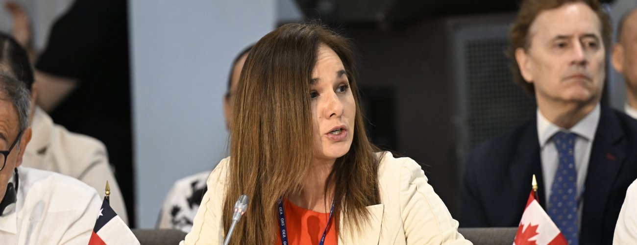 Subsecretaria Gloria de la Fuente participa en la sesión de apertura de la 55ª Asamblea de la OEA