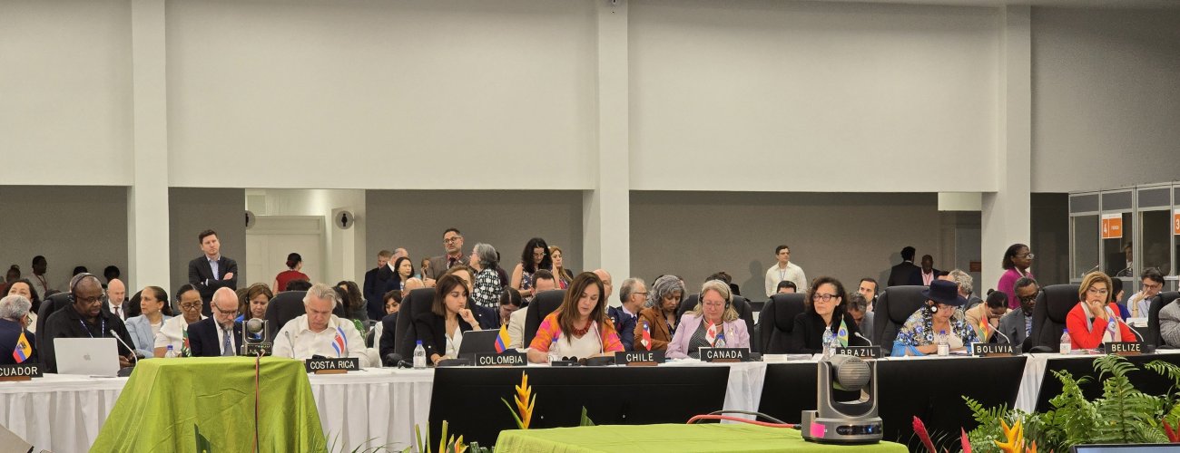 Subsecretaria Gloria de la Fuente reafirma compromiso de Chile con el multilateralismo en Asamblea de la OEA