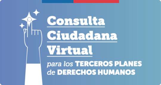 Consulta Ciudadana