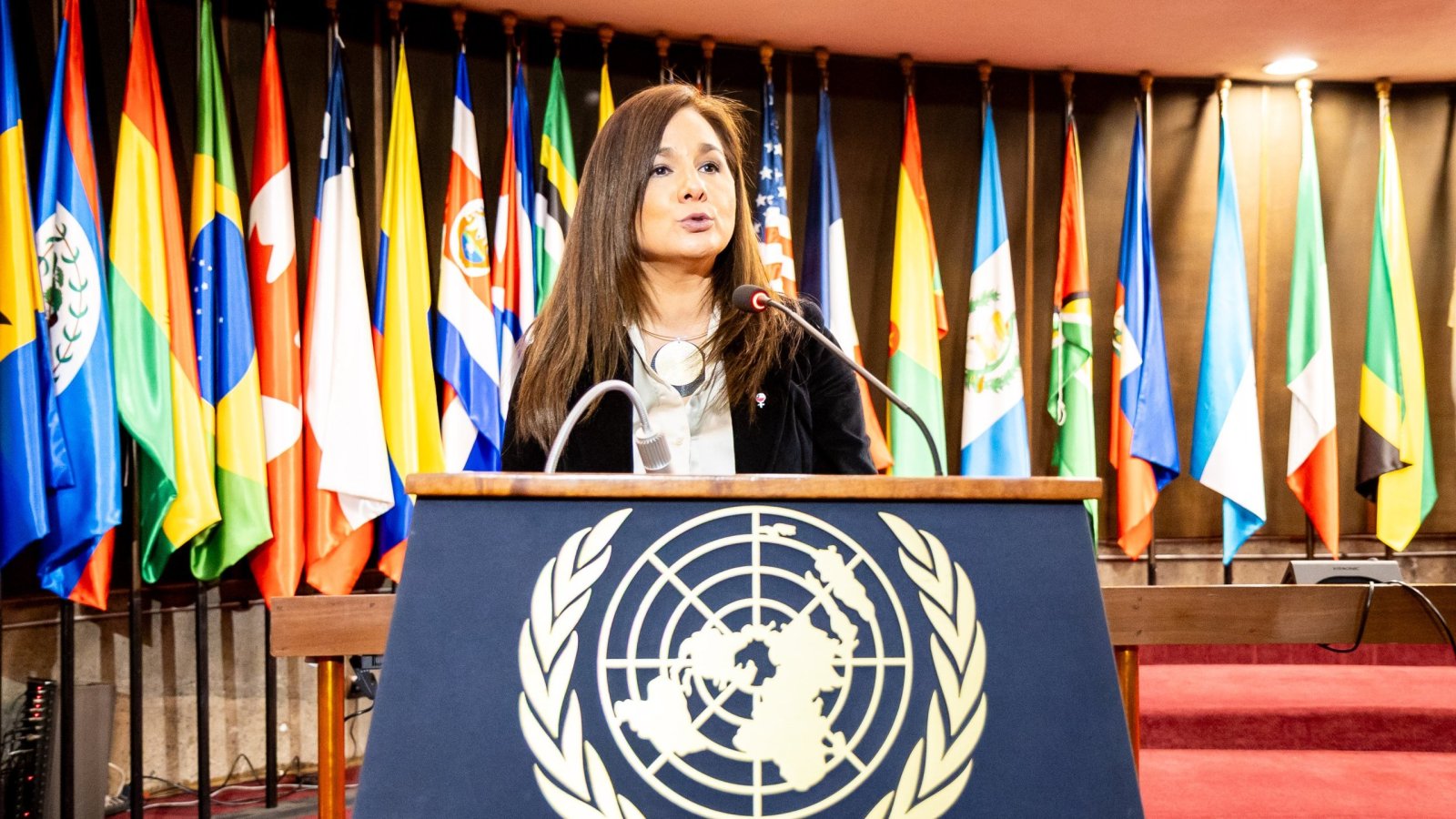 Subsecretaria participa en panel sobre multilateralismo en la CEPAL