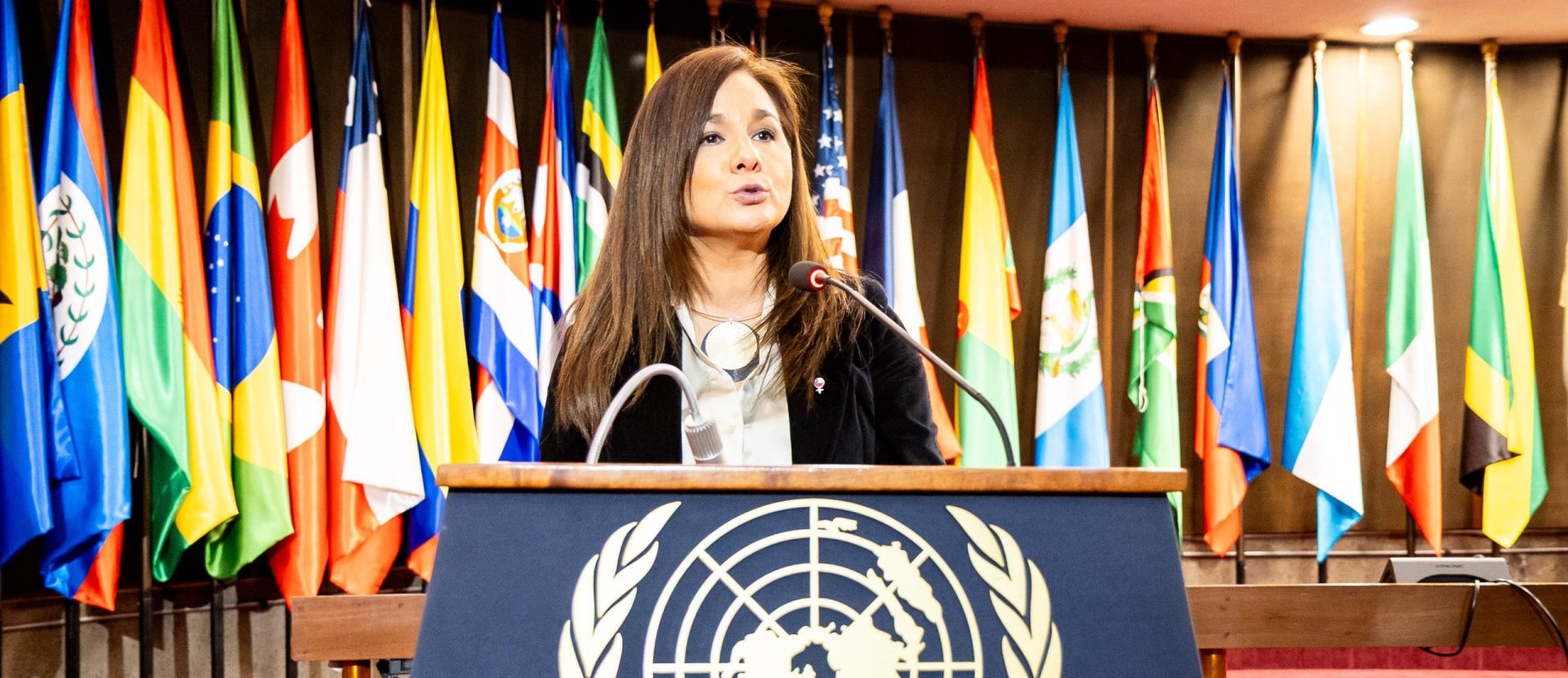 Subsecretaria participa en panel sobre multilateralismo en la CEPAL