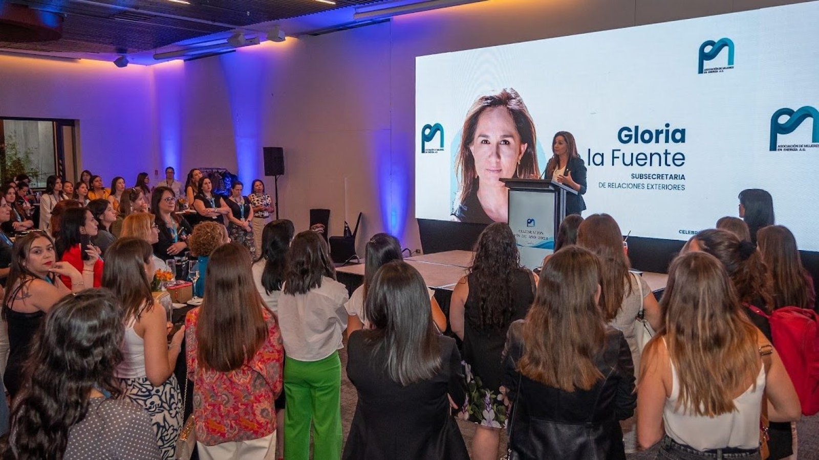Subsecretaria participa en el balance anual de la Asociación de Mujeres en Energía de Chile
