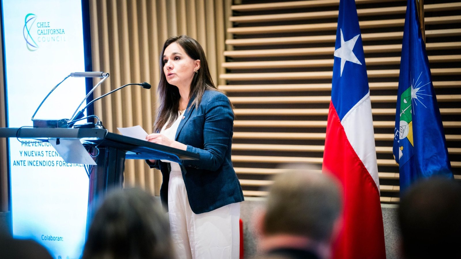 Chile y California refuerzan colaboración preventiva ante temporada de incendios forestales