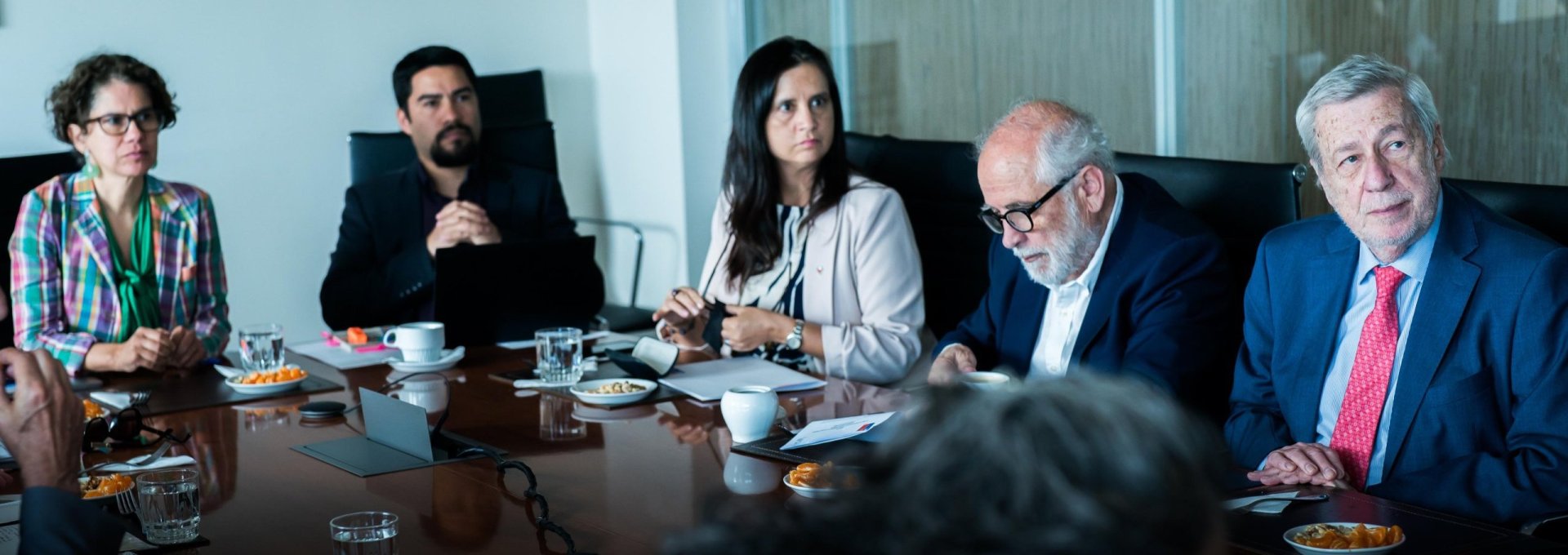 Canciller participó en el Consejo de Ministros para la sustentabilidad y cambio climático