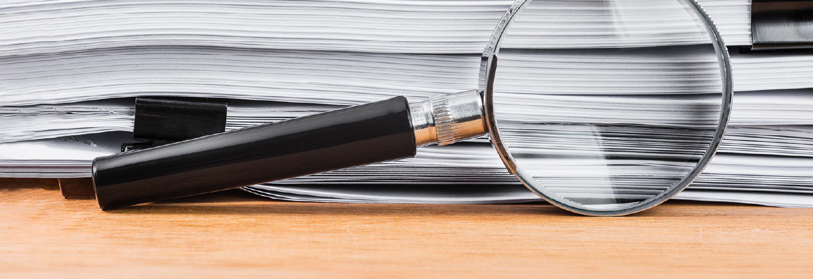 División de Tratados y Asuntos Legislativos