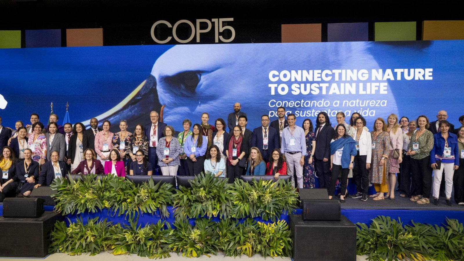 Propuestas presentadas por Chile son aprobadas en la COP15 sobre conservación de aves migratorias