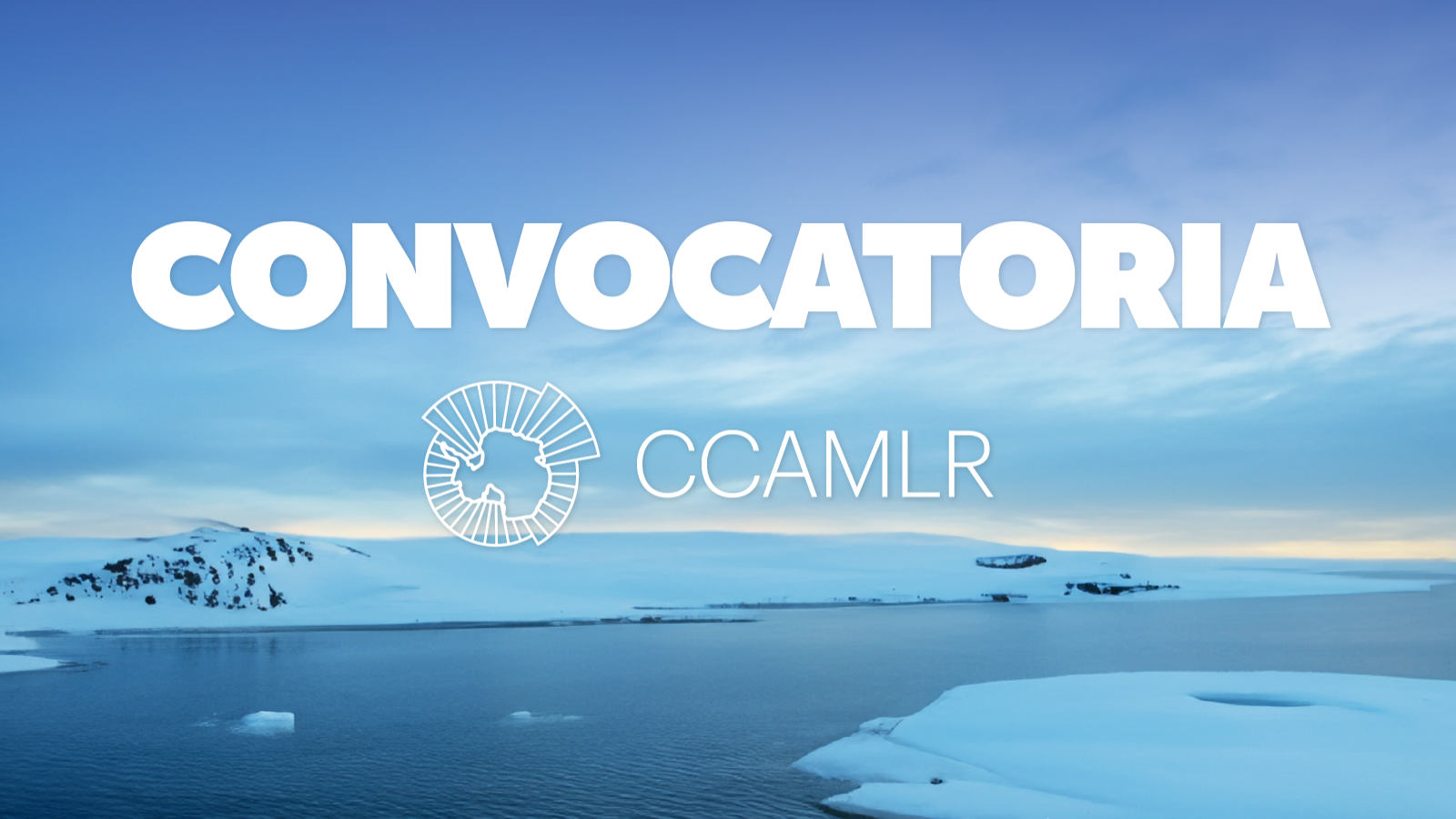 Convocatoria a los operadores antárticos pesqueros a postular a representación ante la Sección Nacional de la CCRVMA