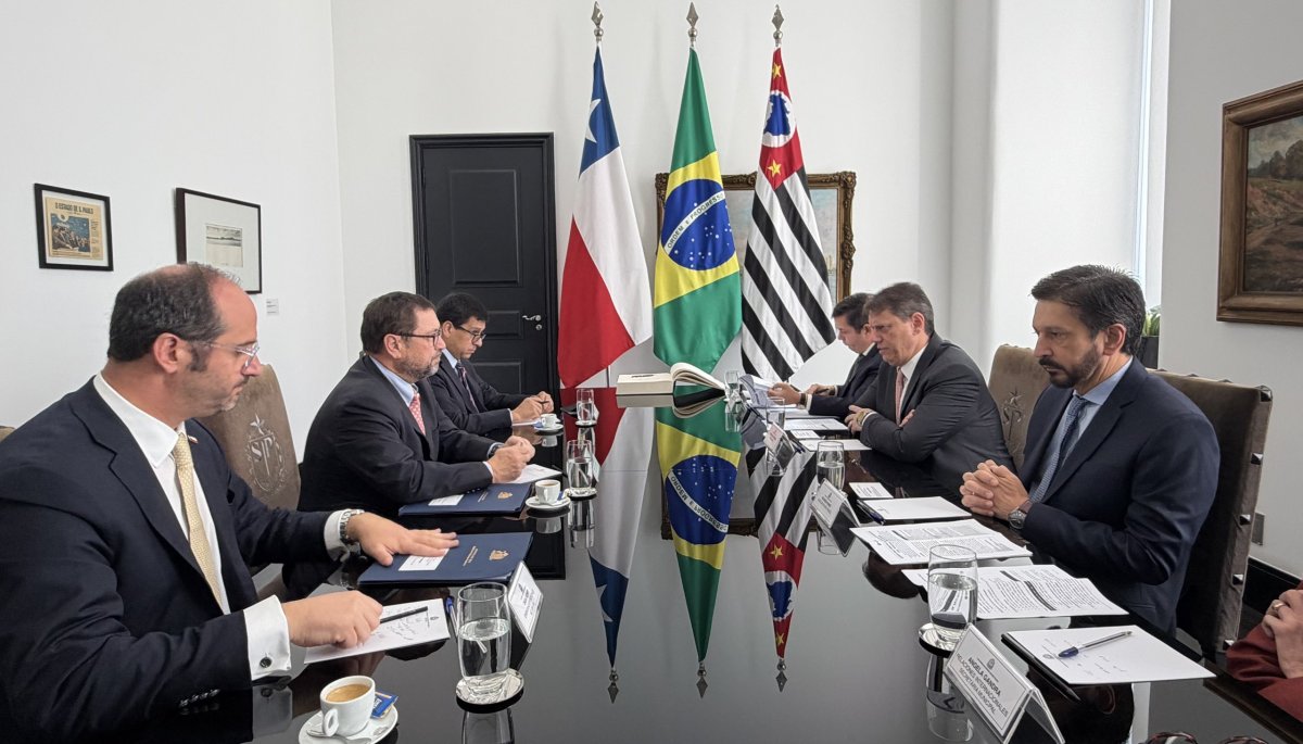 Chilean Minister Torres Attends Human Rights Committee Session