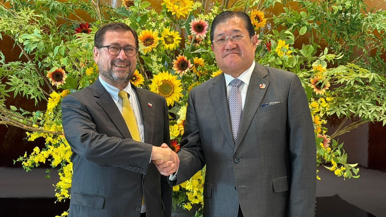 Ministro Pérez Mackenna invita a grandes empresas japonesas a invertir en Chile